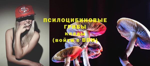 МДПВ Каменногорск