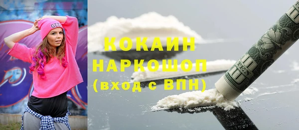 МДПВ Каменногорск