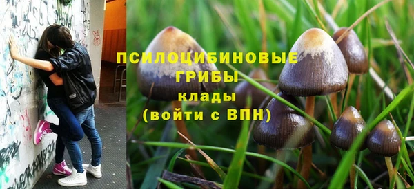 мет Зеленодольск
