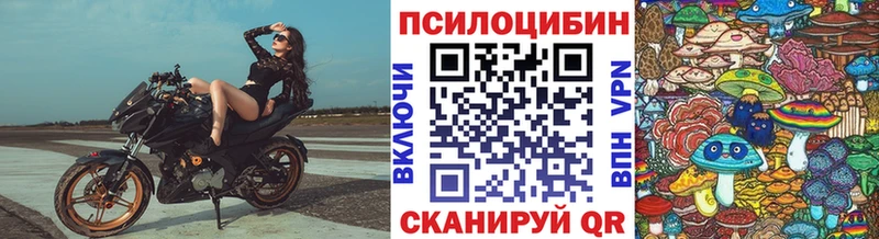 Купить закладки Красноуральск Галлюциногенные грибы Cubensis